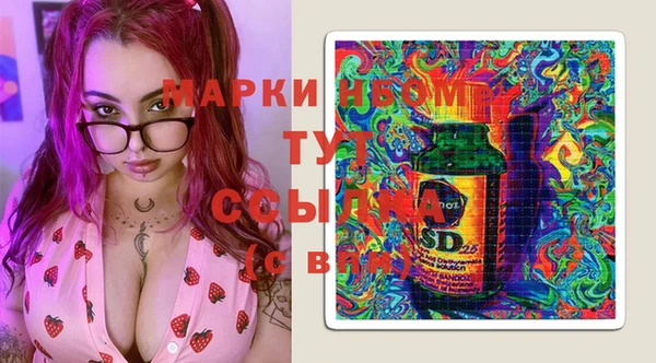 бошки Белокуриха