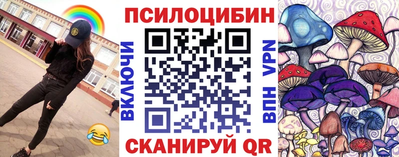 Псилоцибиновые грибы прущие грибы  Беломорск 
